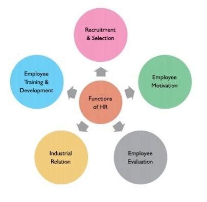 what majors are similar to human resources